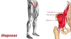 La Grande Back Pain and Iliopsoas Muscle Link