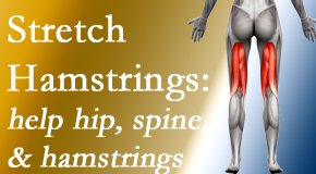 Paulette Hugulet, DC, LLC promotes back pain patients to stretch hamstrings for length, range of motion and flexibility to support the spine.