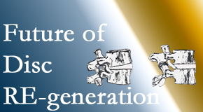 Paulette Hugulet, DC, LLC shares new research about the role of spinal manipulation in disc regeneration possibility.