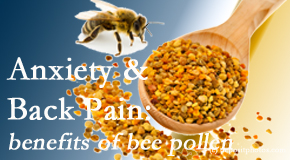 Paulette Hugulet, DC, LLC presents info on the benefits of bee pollen on cognitive function that may be impaired when dealing with back pain.