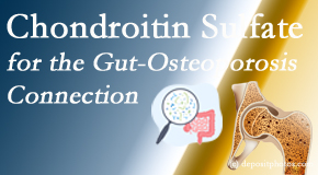Paulette Hugulet, DC, LLC shares new research linking microbiota in the gut to chondroitin sulfate and bone health and osteoporosis. 