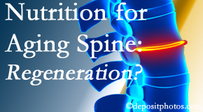 Paulette Hugulet, DC, LLC sets individual treatment plans for patients with disc degeneration, a consequence of normal aging process, that eases back pain and holds hope for regeneration. 