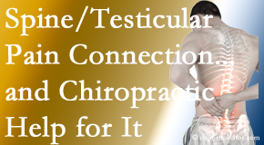 Paulette Hugulet, DC, LLC shares recent research on the connection of testicular pain to the spine and how chiropractic care helps its relief.