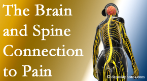 Paulette Hugulet, DC, LLC looks at the connection between the brain and spine in back pain patients to better help them find pain relief.