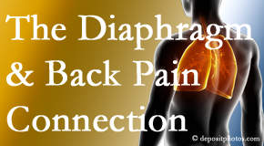 Dr. Paulette Hugulet, DC, LLC recognizes the relationship of the diaphragm to the body and spine and back pain.