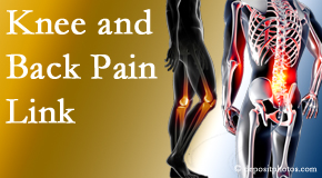 Paulette Hugulet, DC, LLC treats back pain and knee osteoarthritis to help prevent falls.