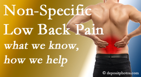 Paulette Hugulet, DC, LLC share the specific characteristics and treatment of non-specific low back pain. 
