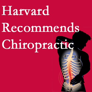 Paulette Hugulet, DC, LLC offers chiropractic care like Harvard recommends.
