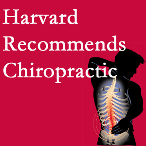 Dr. Paulette Hugulet, DC, LLC offers chiropractic care like Harvard recommends.