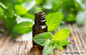 La Grande peppermint pain relieving benefits