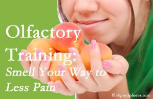 Chronic La Grande back pain may be helped by olfactory training which utilizes smelling scents to desensitize the sufferer to the pain.