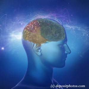 picture of a brain for cognition influenced by balance that La Grande chiropractic can help