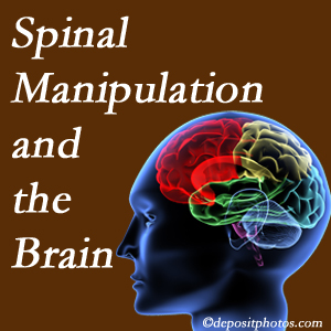 Paulette Hugulet, DC, LLC [shares research on the benefits of spinal manipulation for brain function. 