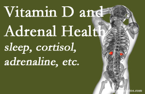 Paulette Hugulet, DC, LLC shares new research about the effect of vitamin D on adrenal health and function.