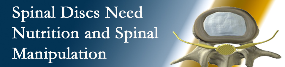 Spinal Discs Need Nutrition and Spinal Manipulation | Dr. Paulette ...